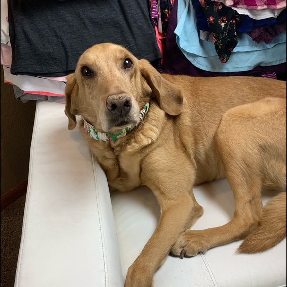 Meet your Posher, Gena - Picture 2 of 7